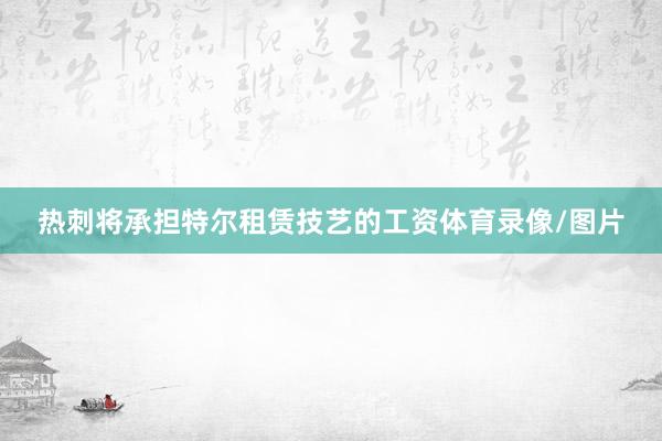 热刺将承担特尔租赁技艺的工资体育录像/图片
