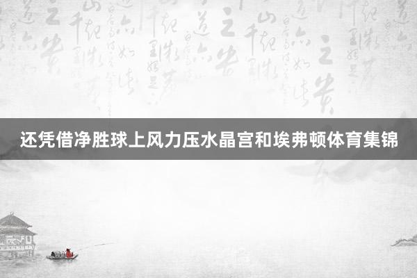 还凭借净胜球上风力压水晶宫和埃弗顿体育集锦