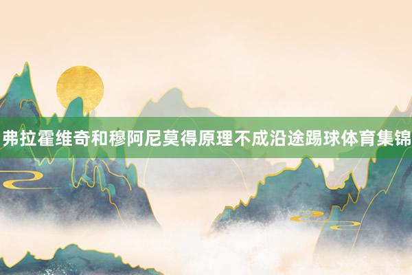 弗拉霍维奇和穆阿尼莫得原理不成沿途踢球体育集锦