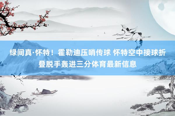 绿间真·怀特！霍勒迪压哨传球 怀特空中接球折叠脱手轰进三分体育最新信息
