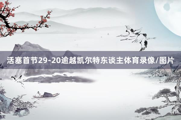 活塞首节29-20逾越凯尔特东谈主体育录像/图片