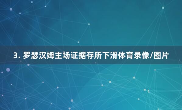 3. 罗瑟汉姆主场证据存所下滑体育录像/图片
