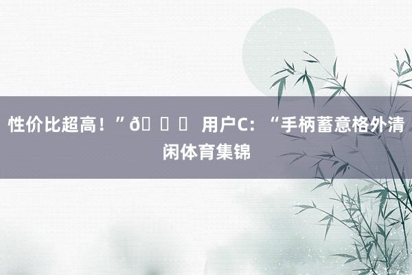 性价比超高！”🌟 用户C：“手柄蓄意格外清闲体育集锦