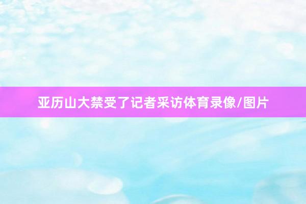 亚历山大禁受了记者采访体育录像/图片
