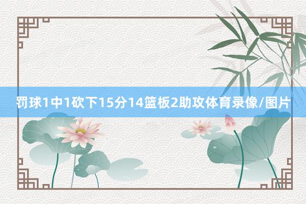 罚球1中1砍下15分14篮板2助攻体育录像/图片