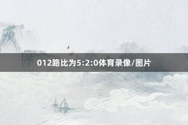 012路比为5:2:0体育录像/图片