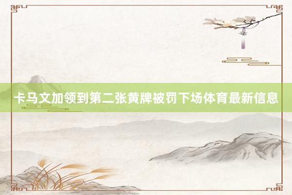 卡马文加领到第二张黄牌被罚下场体育最新信息