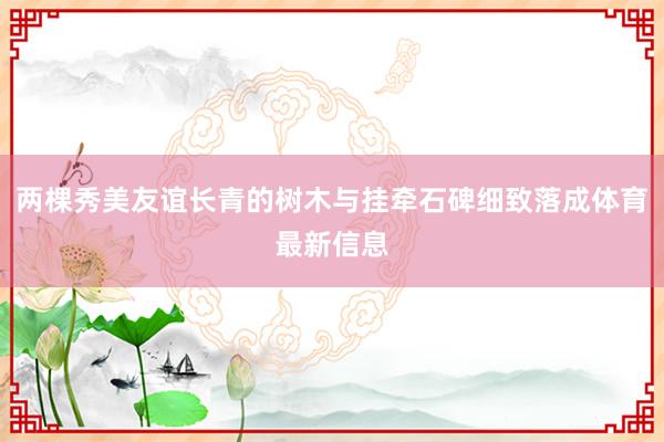两棵秀美友谊长青的树木与挂牵石碑细致落成体育最新信息