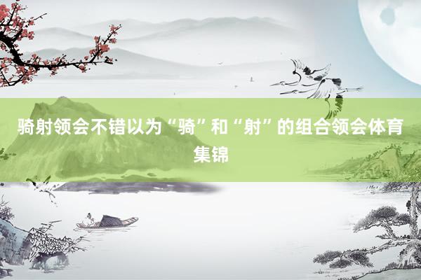 骑射领会不错以为“骑”和“射”的组合领会体育集锦