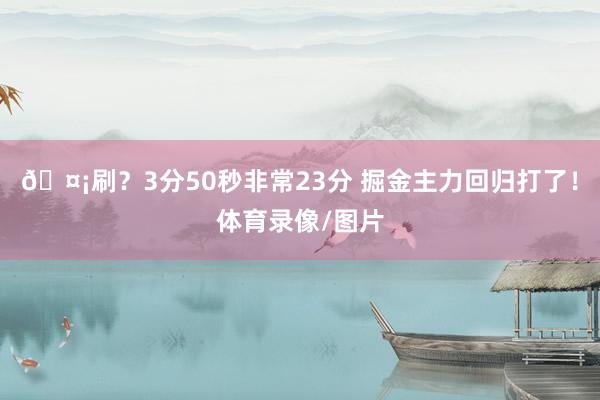 🤡刷？3分50秒非常23分 掘金主力回归打了！体育录像/图片