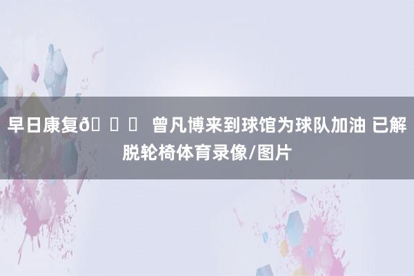 早日康复🙏 曾凡博来到球馆为球队加油 已解脱轮椅体育录像/图片