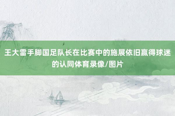 王大雷手脚国足队长在比赛中的施展依旧赢得球迷的认同体育录像/图片