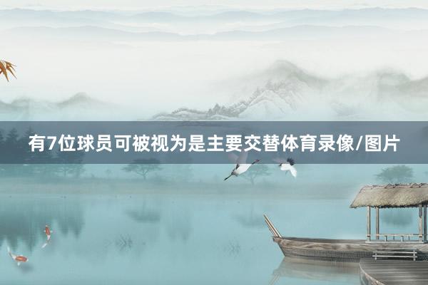 有7位球员可被视为是主要交替体育录像/图片