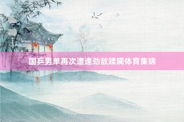 国乒男单再次遭逢劲敌蹂躏体育集锦