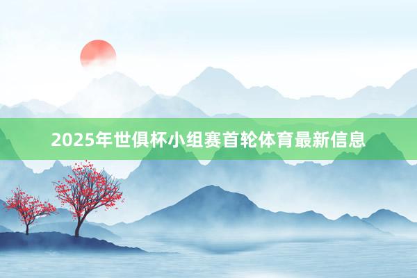 2025年世俱杯小组赛首轮体育最新信息