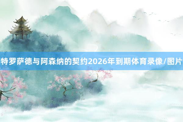 特罗萨德与阿森纳的契约2026年到期体育录像/图片