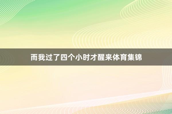 而我过了四个小时才醒来体育集锦