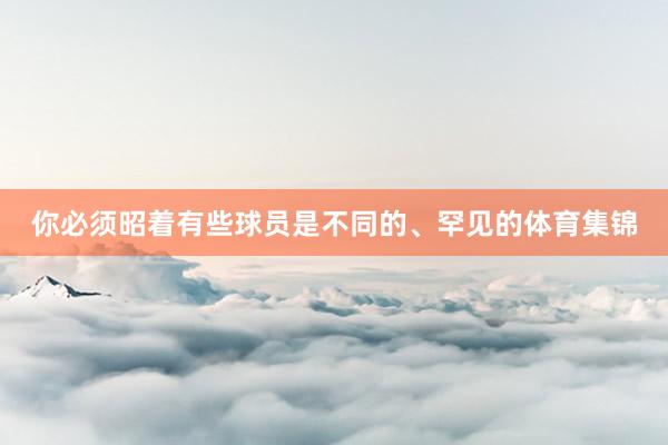 你必须昭着有些球员是不同的、罕见的体育集锦