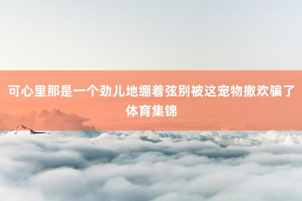 可心里那是一个劲儿地绷着弦别被这宠物撒欢骗了体育集锦