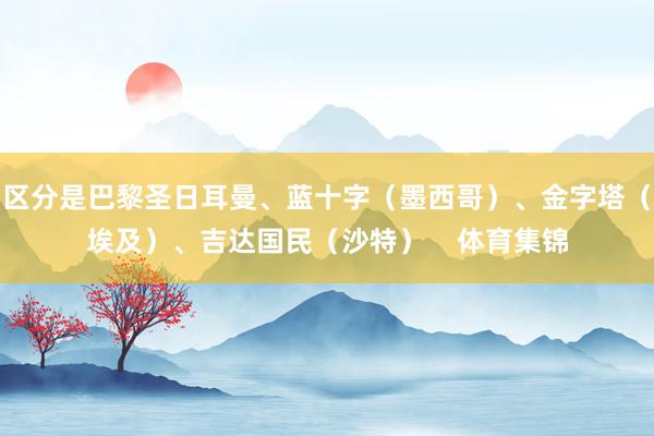 区分是巴黎圣日耳曼、蓝十字（墨西哥）、金字塔（埃及）、吉达国民（沙特）    体育集锦