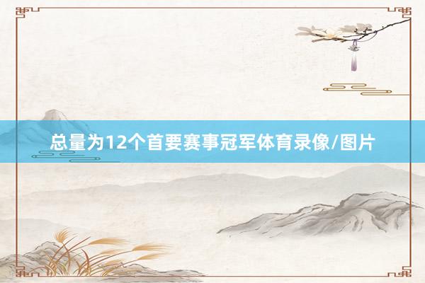 总量为12个首要赛事冠军体育录像/图片