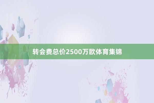 转会费总价2500万欧体育集锦