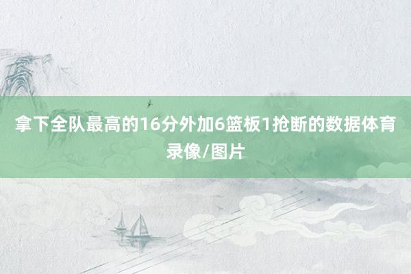 拿下全队最高的16分外加6篮板1抢断的数据体育录像/图片
