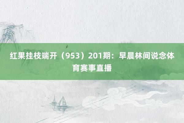 红果挂枝端开（953）　　201期：早晨林间说念体育赛事直播