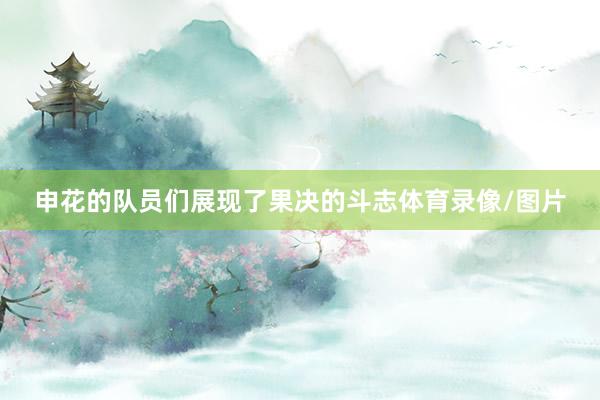 申花的队员们展现了果决的斗志体育录像/图片