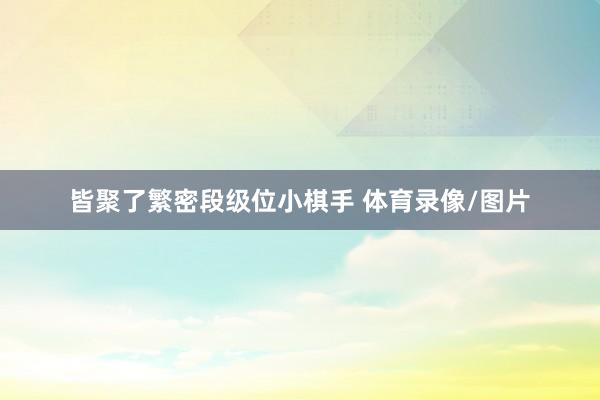 皆聚了繁密段级位小棋手 体育录像/图片