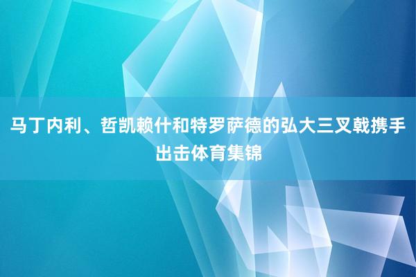 马丁内利、哲凯赖什和特罗萨德的弘大三叉戟携手出击体育集锦