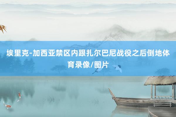 埃里克-加西亚禁区内跟扎尔巴尼战役之后倒地体育录像/图片