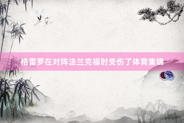 格雷罗在对阵法兰克福时受伤了体育集锦