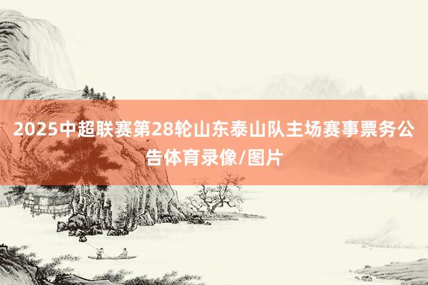 2025中超联赛第28轮山东泰山队主场赛事票务公告体育录像/图片