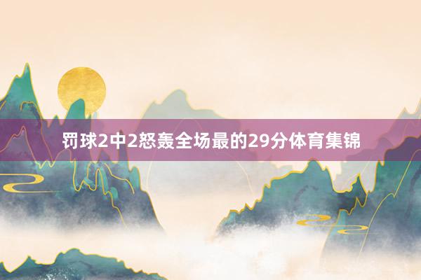 罚球2中2怒轰全场最的29分体育集锦