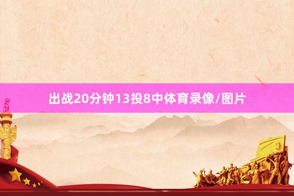 出战20分钟13投8中体育录像/图片