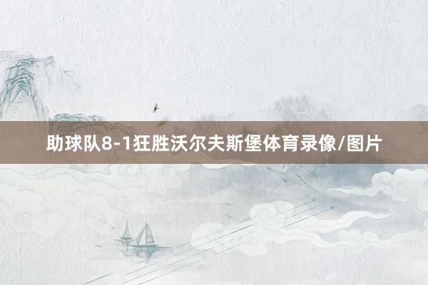 助球队8-1狂胜沃尔夫斯堡体育录像/图片