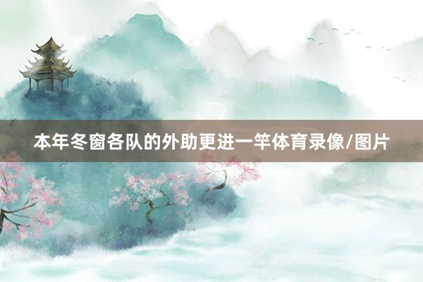 本年冬窗各队的外助更进一竿体育录像/图片