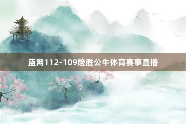 篮网112-109险胜公牛体育赛事直播