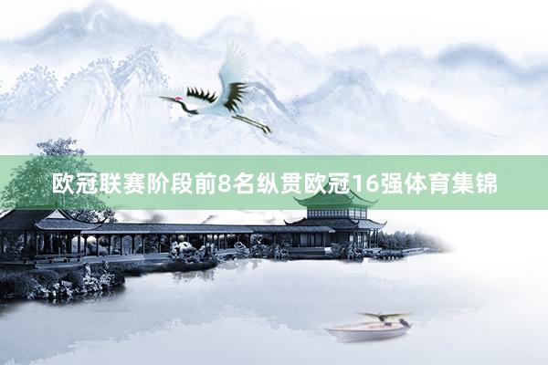 欧冠联赛阶段前8名纵贯欧冠16强体育集锦