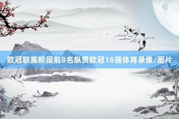 欧冠联赛阶段前8名纵贯欧冠16强体育录像/图片