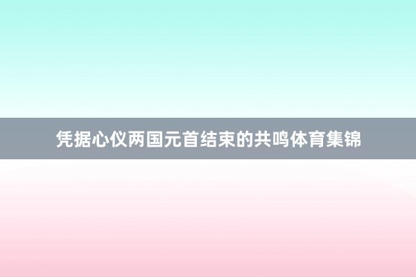 凭据心仪两国元首结束的共鸣体育集锦