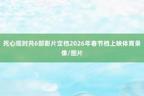 死心现时共6部影片定档2026年春节档上映体育录像/图片
