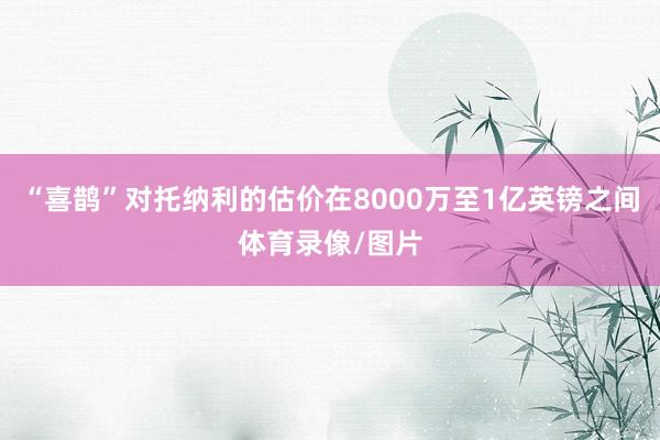 “喜鹊”对托纳利的估价在8000万至1亿英镑之间体育录像/图片