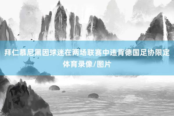 拜仁慕尼黑因球迷在两场联赛中违背德国足协限定体育录像/图片