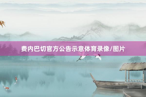 费内巴切官方公告示意体育录像/图片