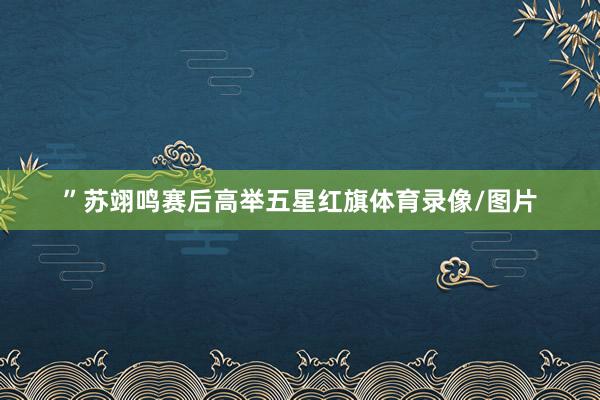 ”苏翊鸣赛后高举五星红旗体育录像/图片