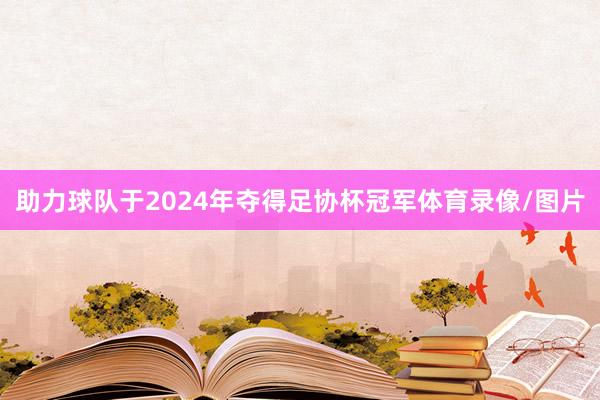 助力球队于2024年夺得足协杯冠军体育录像/图片