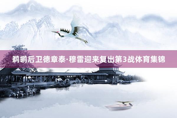 鹈鹕后卫德章泰·穆雷迎来复出第3战体育集锦