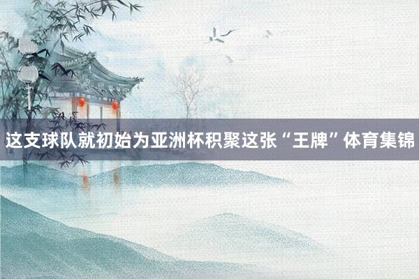 这支球队就初始为亚洲杯积聚这张“王牌”体育集锦
